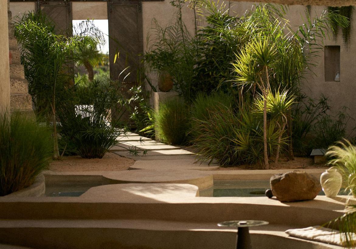 Ecohotel El Agua Arico el Nuevo エクステリア 写真