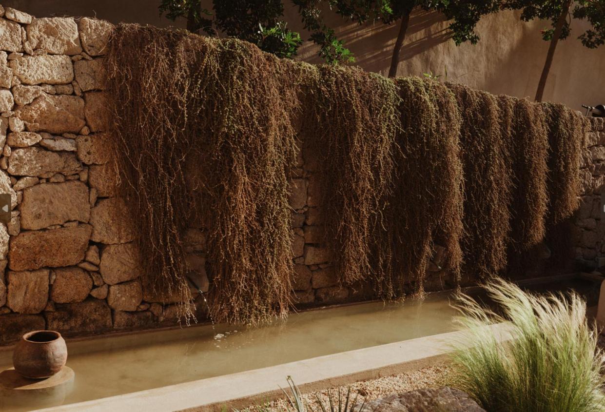 Ecohotel El Agua Arico el Nuevo エクステリア 写真