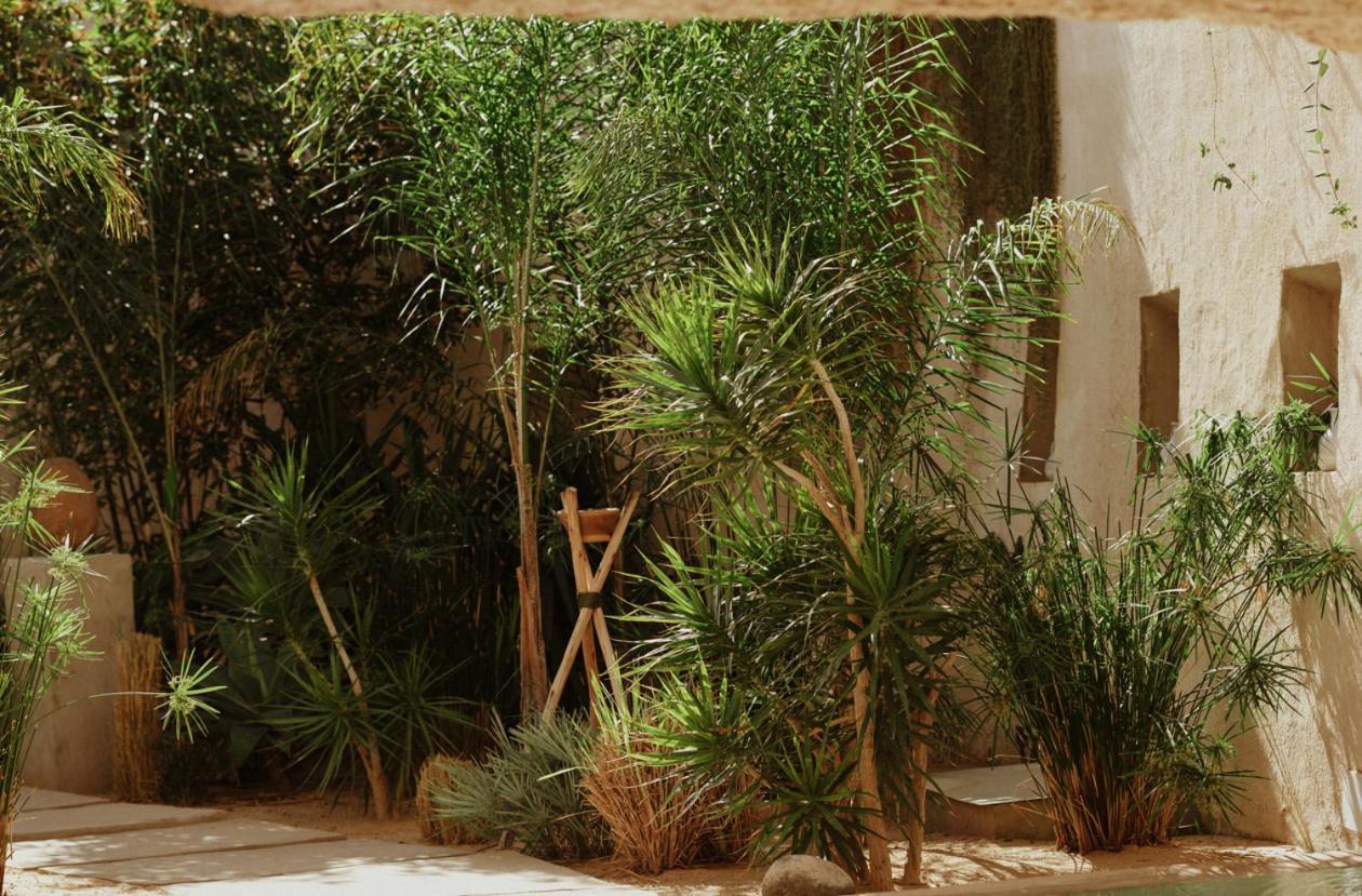 Ecohotel El Agua Arico el Nuevo エクステリア 写真