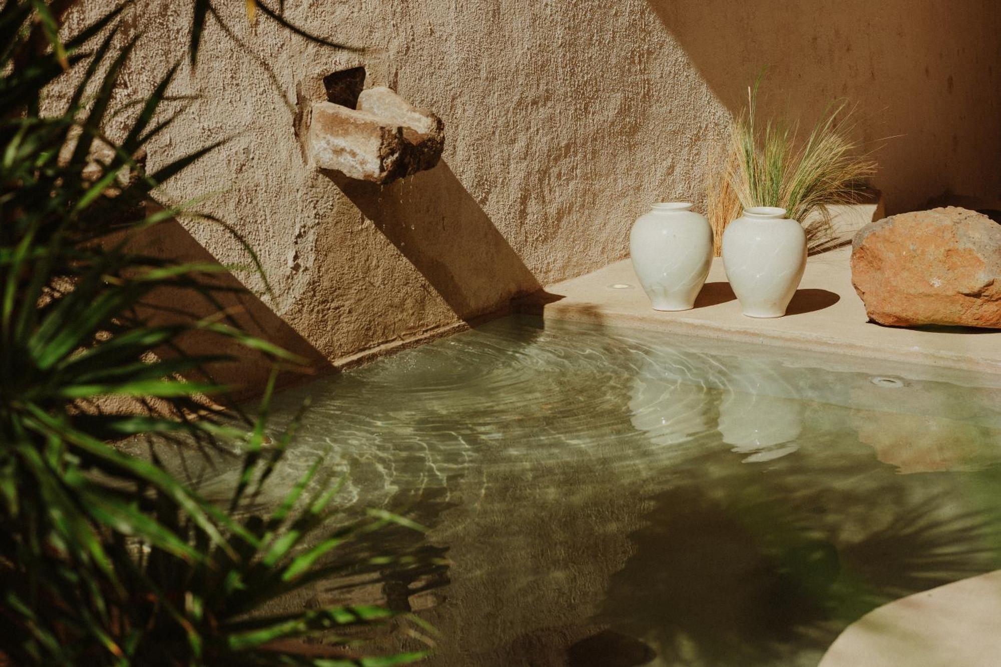 Ecohotel El Agua Arico el Nuevo エクステリア 写真
