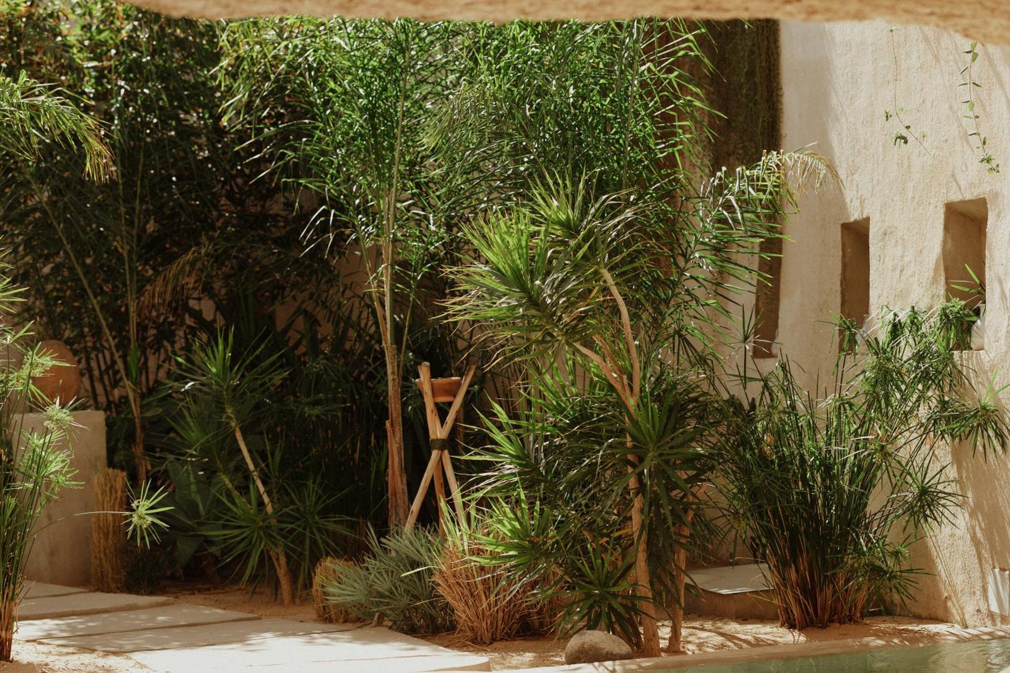 Ecohotel El Agua Arico el Nuevo エクステリア 写真